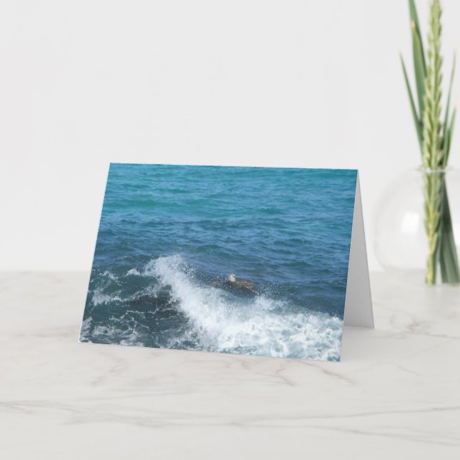 carte de voeux de tortue (encouragement) (Devant)