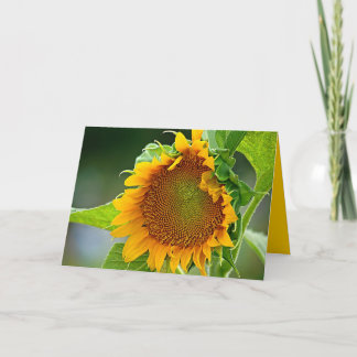 Carte de voeux de tournesol