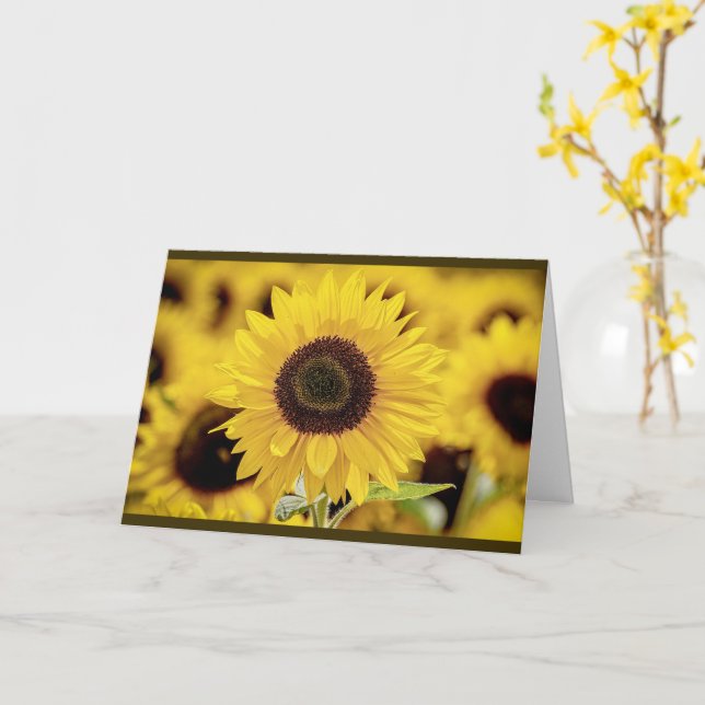 Carte de voeux de tournesol (Fleur jaune)