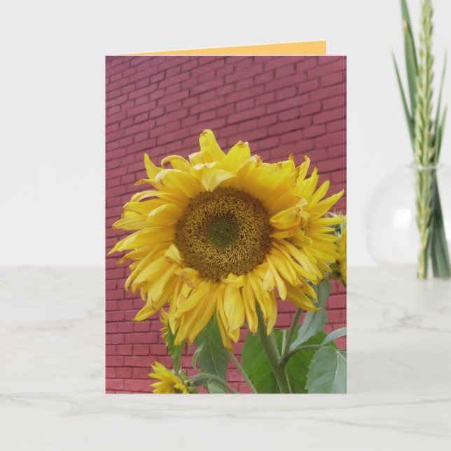 Carte de voeux de tournesol (Devant)