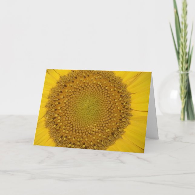 Carte de voeux de tournesol (Devant)