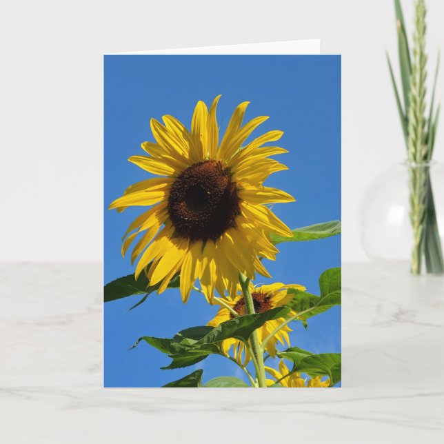 Carte de voeux de tournesol (Devant)