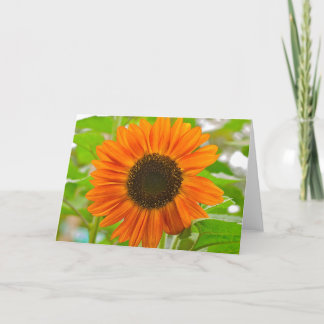 Carte de voeux de tournesol