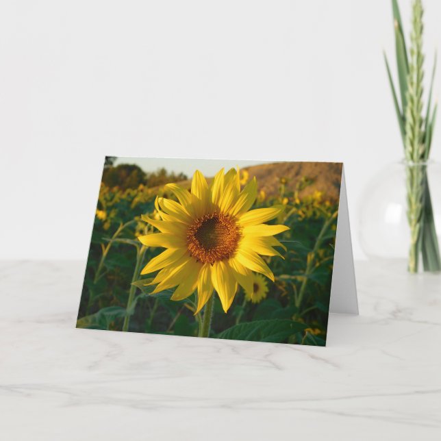Carte de voeux de tournesol brillant (Devant)