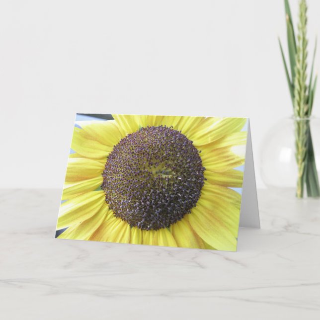 Carte de voeux de tournesol jaune (Devant)