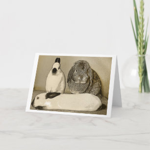 Carte de voeux de trois lapins
