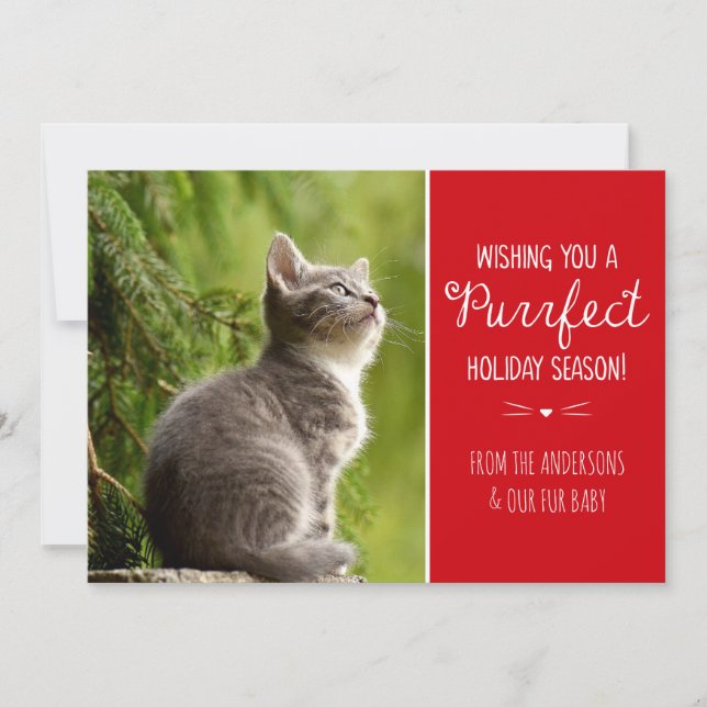 Carte de vœux de vacances à thème de chat parfaite (Devant)