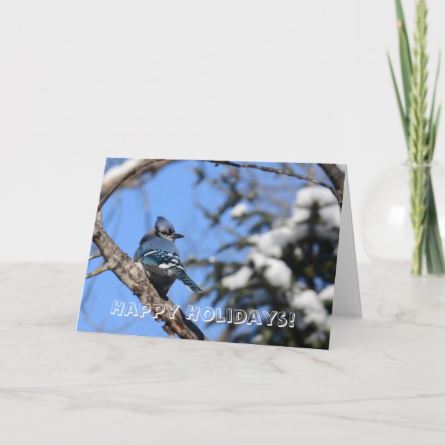 Carte de vœux de vacances Geai bleu (Devant)