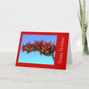 Carte de voeux de vacances Red Ocotillo Blooms