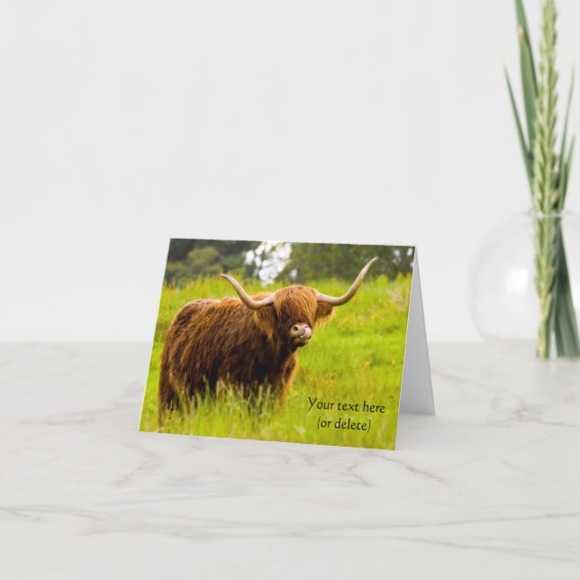 Carte de vœux de vache des Highlands (Devant)