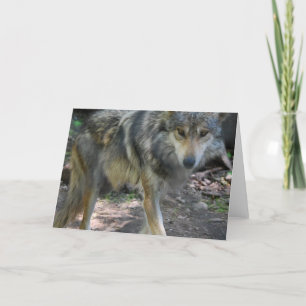 Carte de voeux de vagabondage de loup