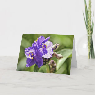 Carte de vœux de verset biblique Fleur sauvage Héb