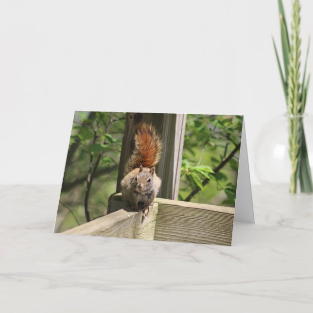 Carte de voeux d'écureuil (Devant)