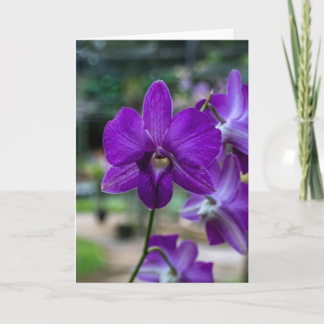 Carte de voeux Deep Purple Orchid personnalisable. (Devant)