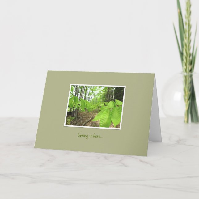Carte de vœux d'encouragement "Le printemps est là (Devant)