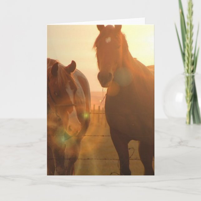 Carte de voeux des Chevaux du coucher du soleil (Devant)