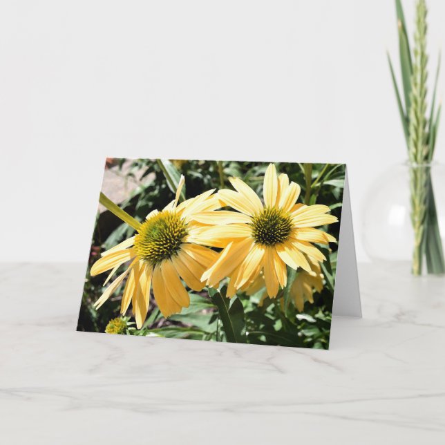 Carte de voeux des Conflowers (Devant)