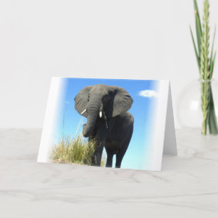 Carte de voeux des éléphants africains