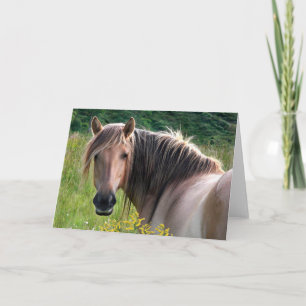 Carte de voeux des montagnes de poney de "Bonar"