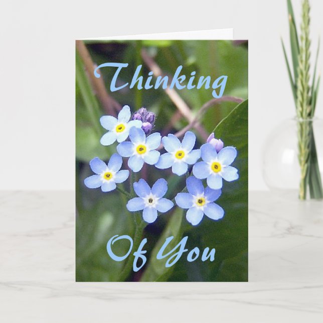 Carte de voeux des myosotis des marais 2 (Devant)