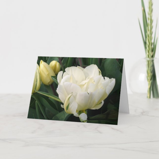 Carte de voeux des Tulipes blanches (Devant)