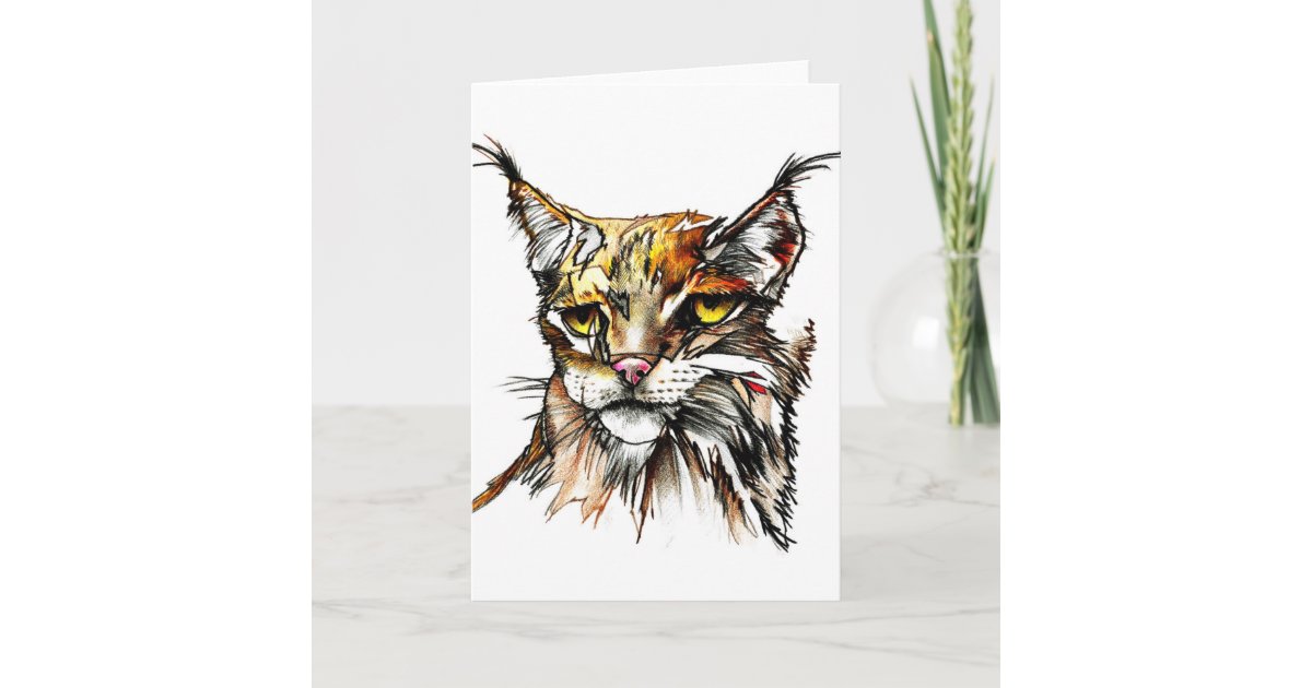 Carte De Voeux Dessin Sauvage De Chat De Linx Zazzle Fr