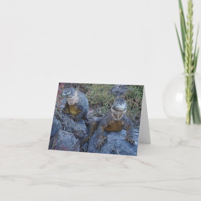 Carte de vœux Deux Iguanes (Devant)