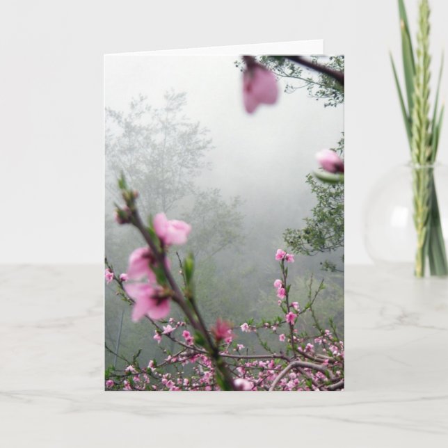 Carte de voeux d'harmonie de ressort (Devant)