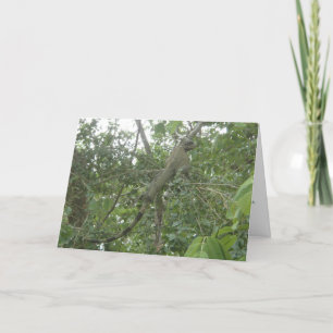 carte de voeux d'iguane (amincissant la version)