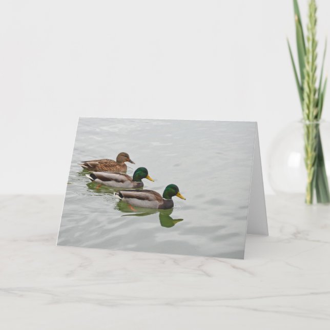 Carte de voeux d'impression de canard de Mallard (Devant)