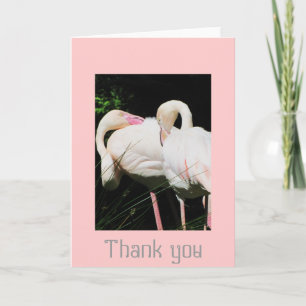 Carte de voeux d'oiseau de Flamant rose de Merci