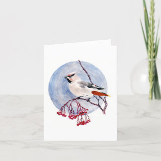 Carte de vœux d'oiseau d'hiver