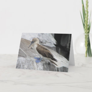 Carte de voeux d'oiseaux