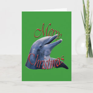 Carte de voeux Dolphin de Noël