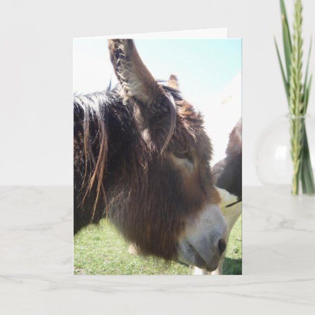 Carte de voeux Donkey Portrait (Devant)