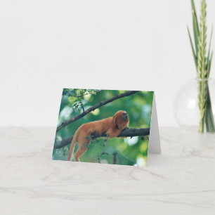 CARTE DE VOEUX D'OR DE SINGE DE TAMARIN DE LION