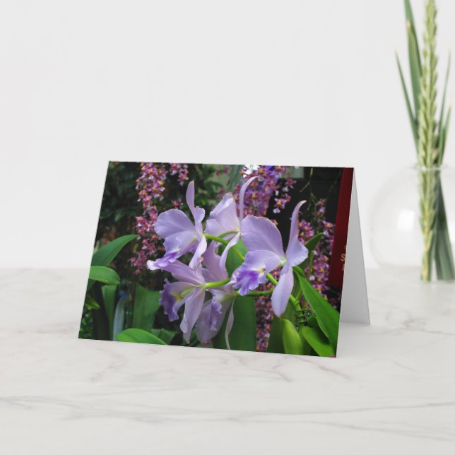 Carte de voeux d'orchidées (Devant)