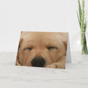Carte de voeux dormant Golden Retriever