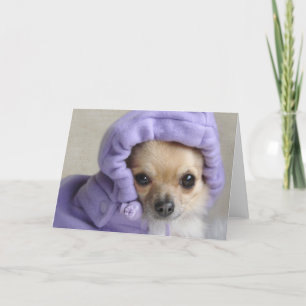 Carte de voeux douce de Minx (aucun texte)