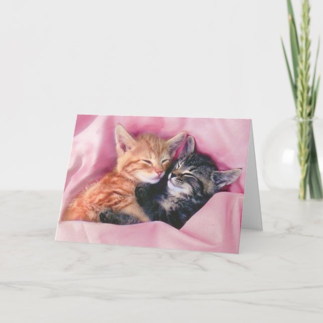 carte de voeux dreamy kittens (Devant)