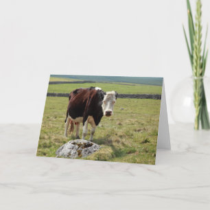 Carte de voeux drôle