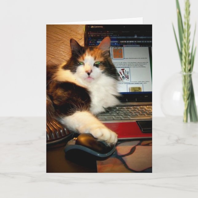 Carte de vœux drôle de chat calico (Devant)