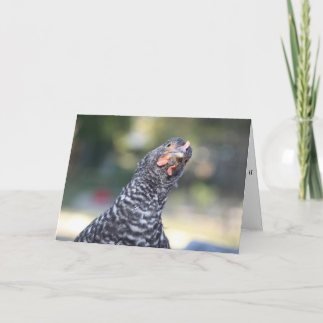 Carte de voeux drôle de poulet (Devant)