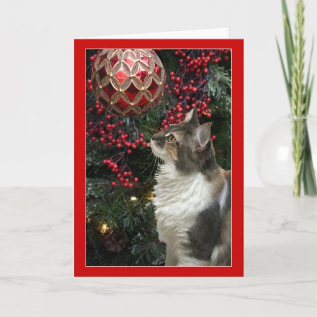 Carte de voeux drôle d'ornement de Noël de chat (Devant)