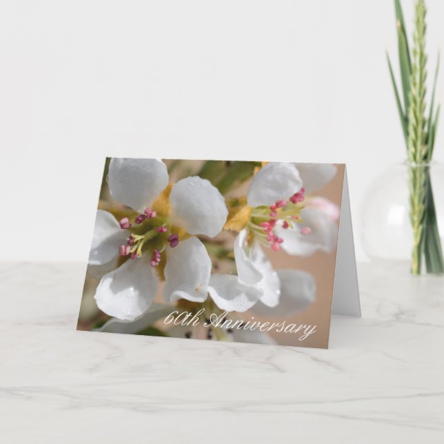 Carte de voeux du 60e anniversaire (Devant)