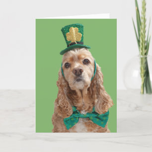 Carte de voeux du jour de St Patrick de cocker