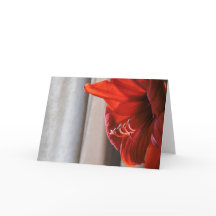 Carte de vœux du Nouvel An avec fleur d'amaryllis 