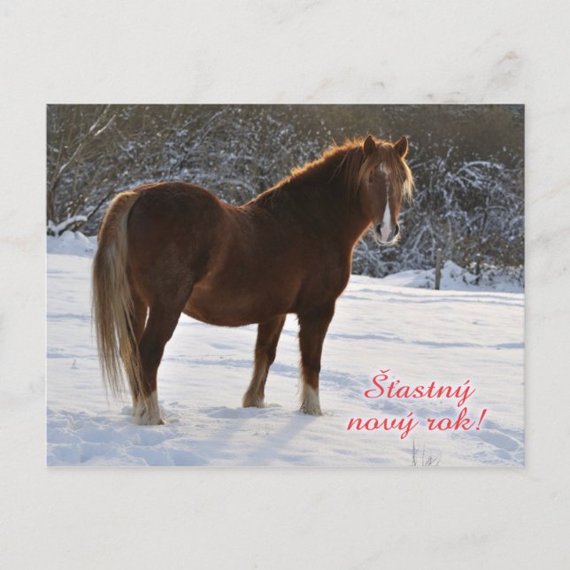 Carte de vœux du Nouvel An tchèque avec cheval (Devant)