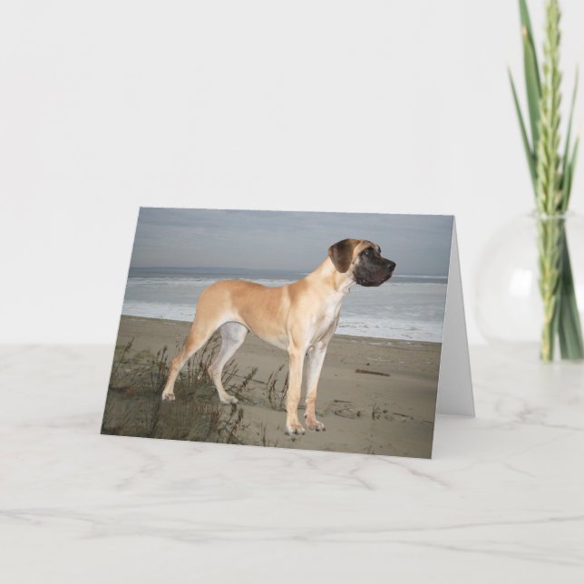 Carte de voeux du roi des chiens Great Dane (Devant)