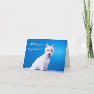 Carte De Vœux Du Terrier West Highland Let's Get T